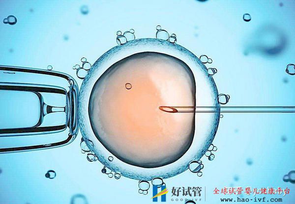 多囊患者做试管婴儿成功的机率大吗看完此篇你就有...(图3) 多囊患者做试管婴儿成功的机率大吗看完此篇你就有...(图3)