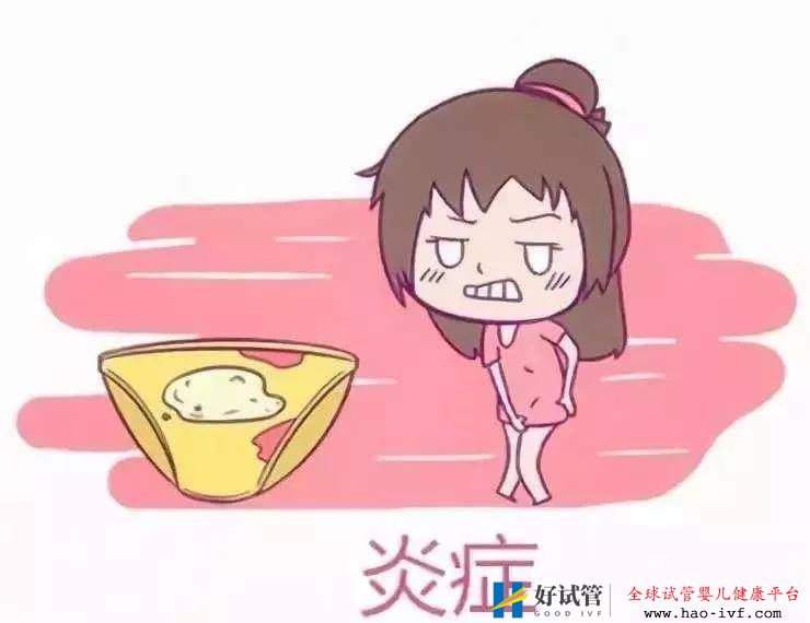 十女九“炎”，但如果影响试管成功率怎么办？