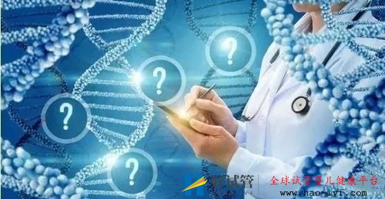 试管婴儿胚胎解冻的详细步骤是什么？