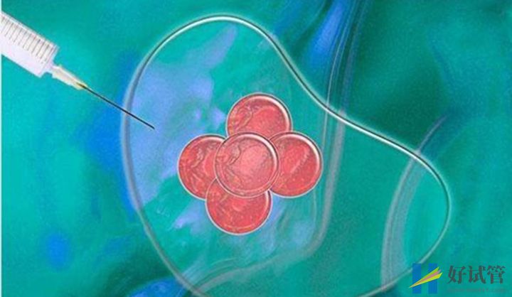 试管想要成功就要杜绝优势卵泡受影响(图2) 甲状腺功能异常会导致女性生殖功能异常