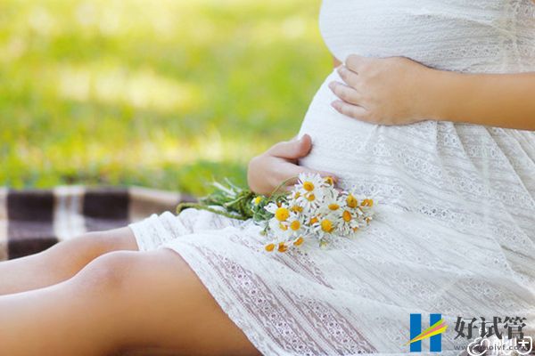 不造添丁又添喜4大生肖速览!60s弄清绝对怀孕属相(图2) 2023生肖兔子女运好