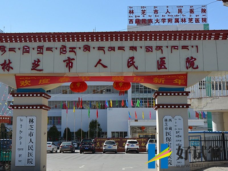 林芝市可以做试管婴儿的医院在哪里？