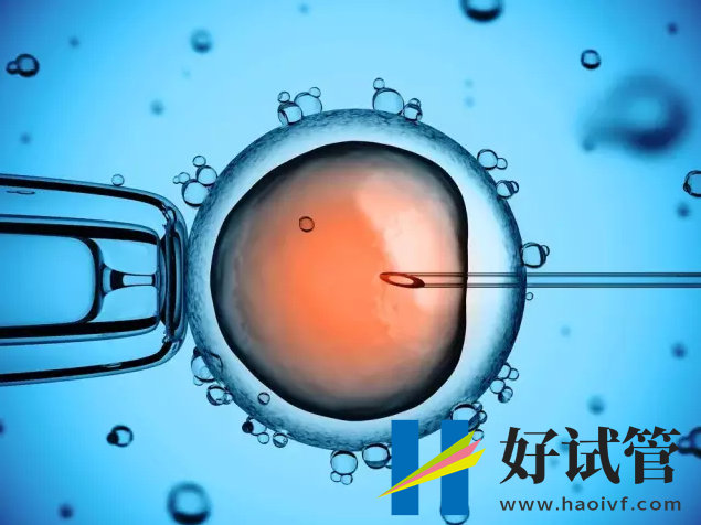 博尔塔拉第三代试管婴儿多少钱，贵不贵？