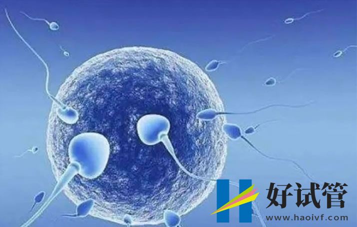 重庆市妇幼保健院助孕怎么样？