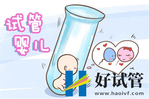 2024甘肃试管医院最新排名