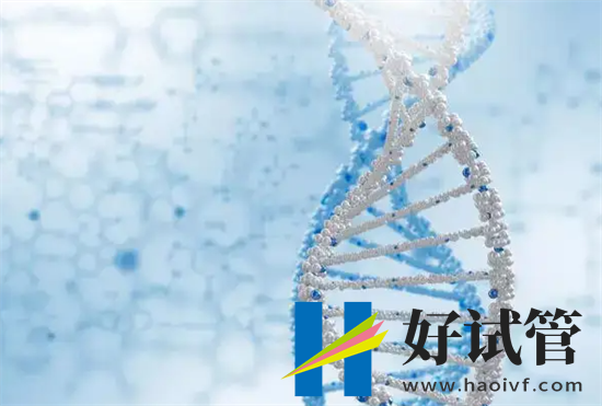 兰州最佳试管医院排名