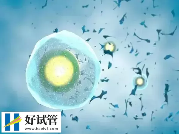 试管婴儿移植后为什么会有宫腔积液