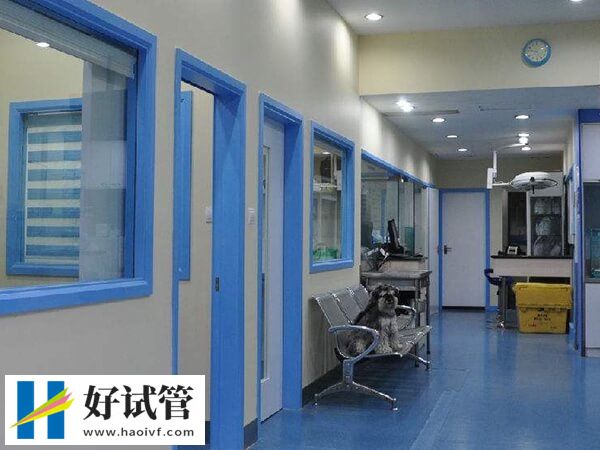 济南二代试管婴儿技术解析，选这家医院助孕3万轻松抱娃