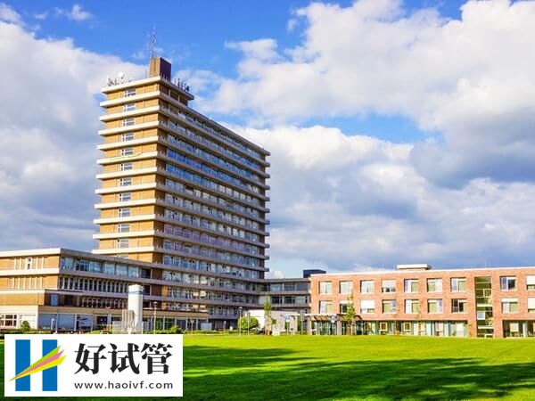 美国正规试管婴儿医院排行榜，麻省总医院排名第一
