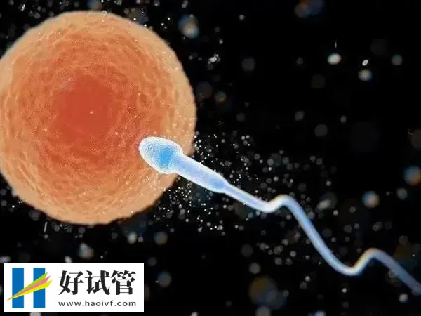 人工授精第14天hcg多少正常