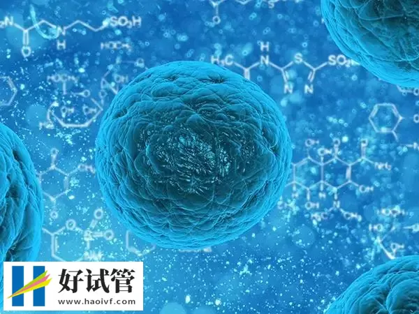 铜仁卵巢早衰试管婴儿移植成功后怎么保胎