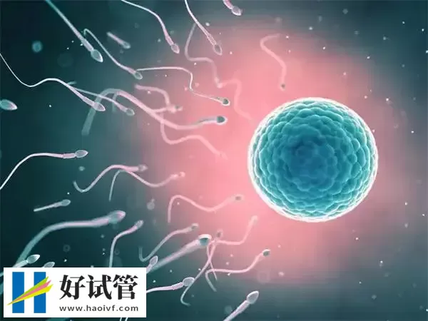 黔南试管婴儿移植后多久才稳定