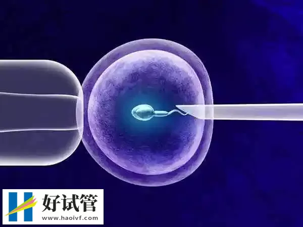 黔东南试管婴儿雌激素低怎么办