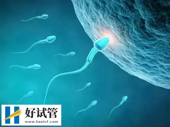 黔东南试管婴儿胚胎是怎么冷冻的