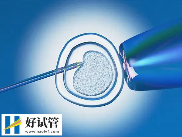 巴中试管婴儿促排5天的雌二醇多少正常