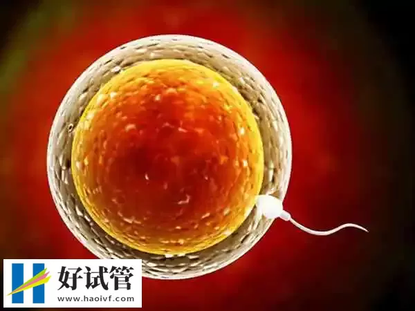 巴中试管婴儿促排卵为什么有空囊