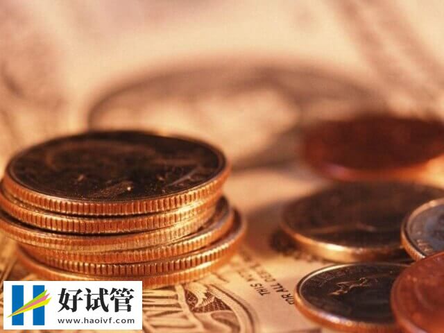 单身做试管婴儿的费用(图1) 单身做试管婴儿的费用