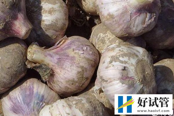 取卵后医生谈话谈啥、谈多久看这，专家：时间越久暗示...