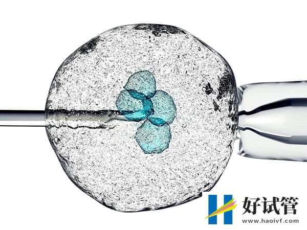 二代试管和一代试管的区别有哪些(图1) 一代和二代试管的适应症不同