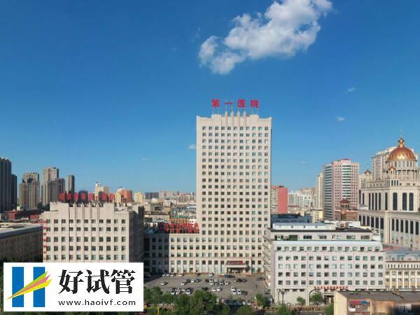 哈尔滨顶尖二代试管婴儿机构推荐，这两家具有一定声誉