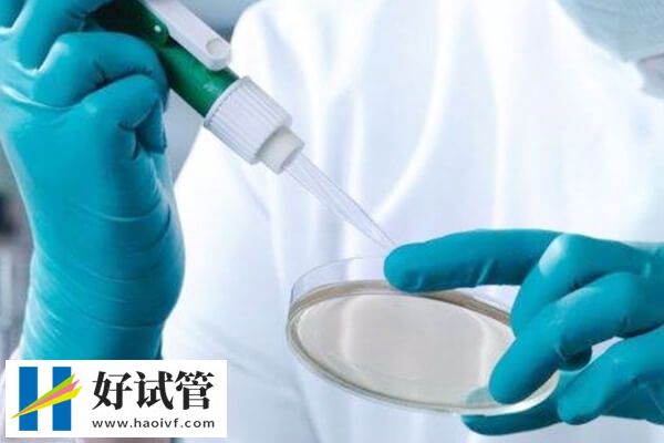 徐州妇幼保健院试管成功率高不高