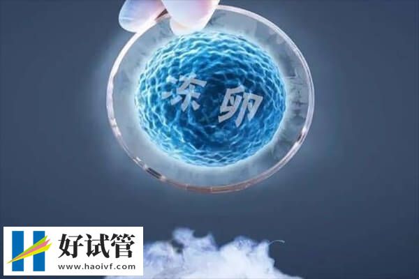 郑州冻卵有哪些流程