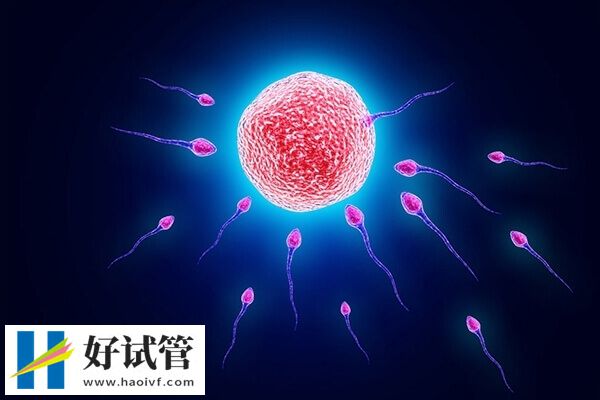 银川三代试管的流程有哪些