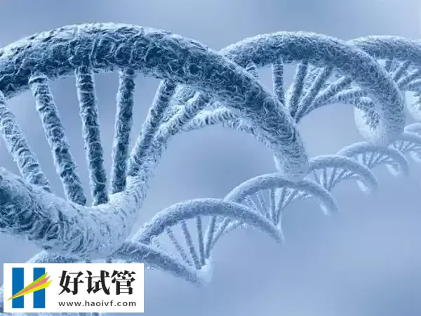银川第三代试管成功率高不高