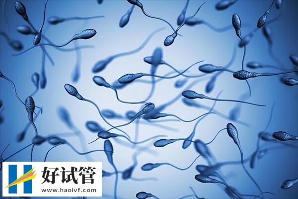 西宁做试管婴儿有哪些流程