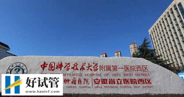 合肥三代试管婴儿机构推荐，蜀山区这两家能助你重拾好“孕”！