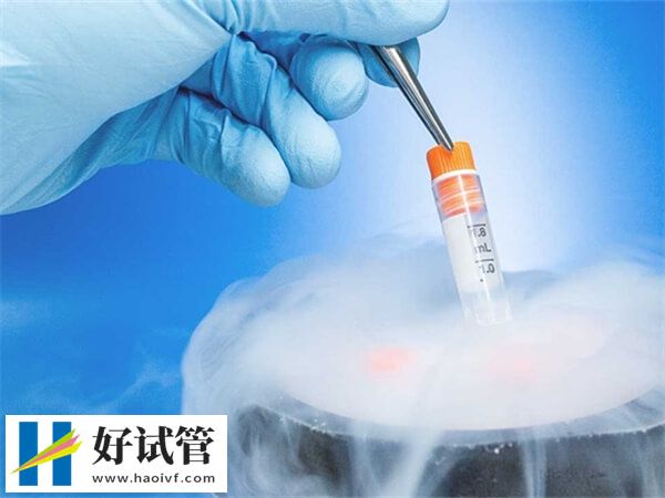 秦皇岛冻卵需要多少钱
