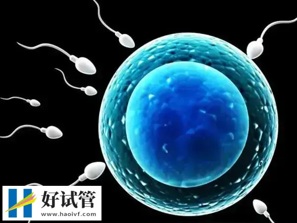 秦皇岛人工授精费用多少