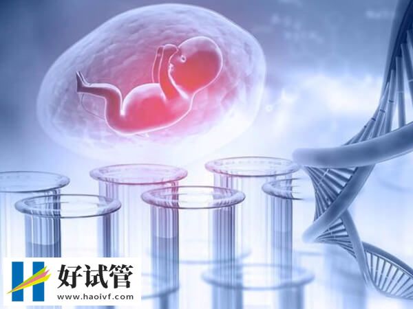 大连试管婴儿专家哪个好