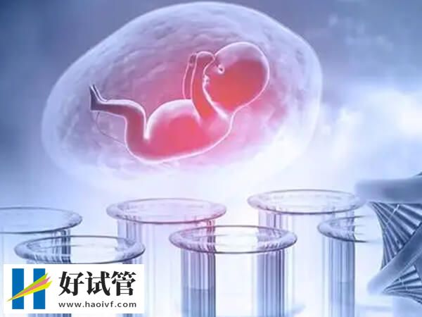 扬州哪个试管专家好
