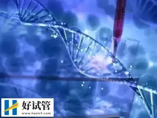 温州哪里能做三代试管