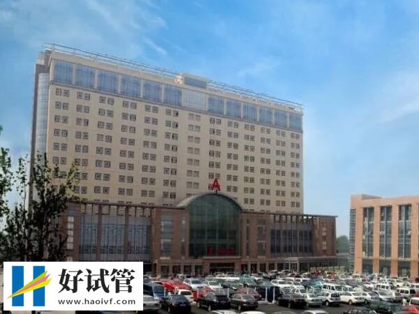 天津医大二院做试管哪个医生好