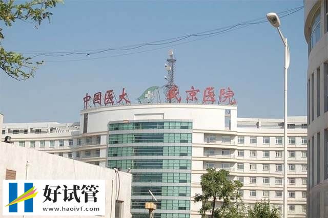 沈阳盛京医院哪个院区能做试管