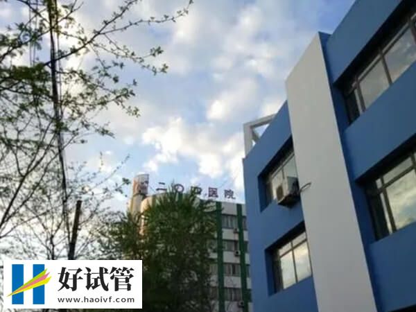 沈阳204医院试管医生哪个好
