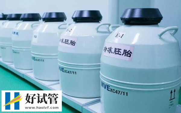 试管婴儿移植冻胚步骤是什么(图1) 冻胚移植前要先解冻