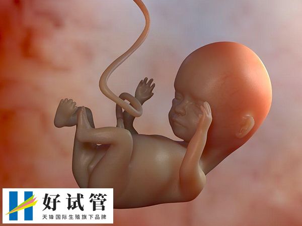 在生殖科就诊的价格是不是比妇科昂贵(图1) 生殖科的收费通常比妇科要高