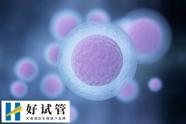 试管取卵5个够不够用(图1) 五个成熟卵子质量好够用