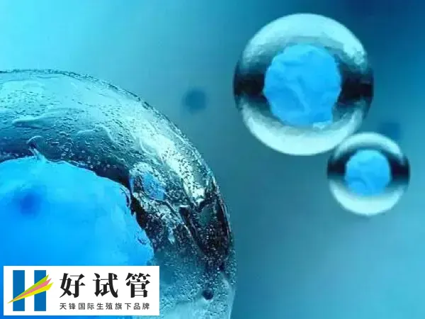 囊胚移植前后有什么注意事项(图1) 囊胚移植前要注意休息