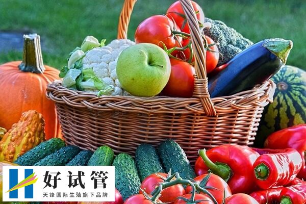 试管移植后第一天吃点什么好(图1) 试管移植后要多吃新鲜蔬菜和水果