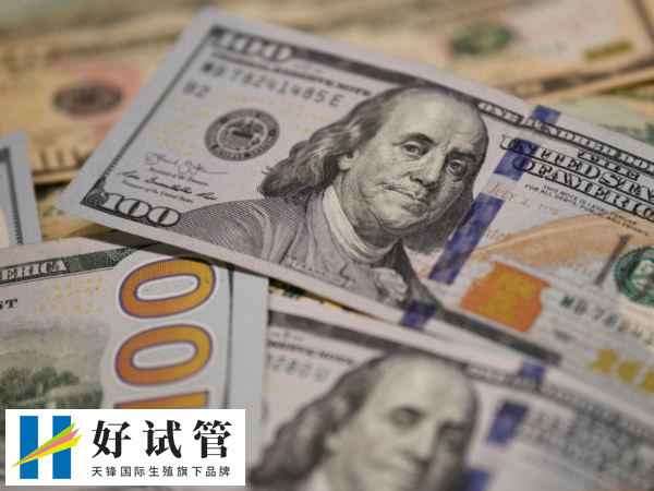 移植费用一般多少钱(图2) 麻醉费用大概在1000元