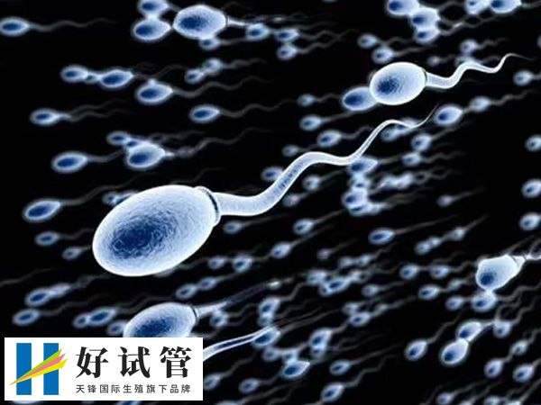 做试管婴儿要吃多久勃锐精胶囊(图2) 男版勃锐精有着提高精子质量与活力的作用