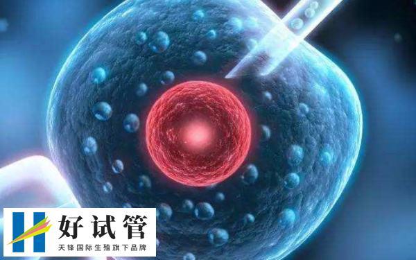 实施供卵自怀犯不犯法(图1) 供卵自怀的行为并不完全违法