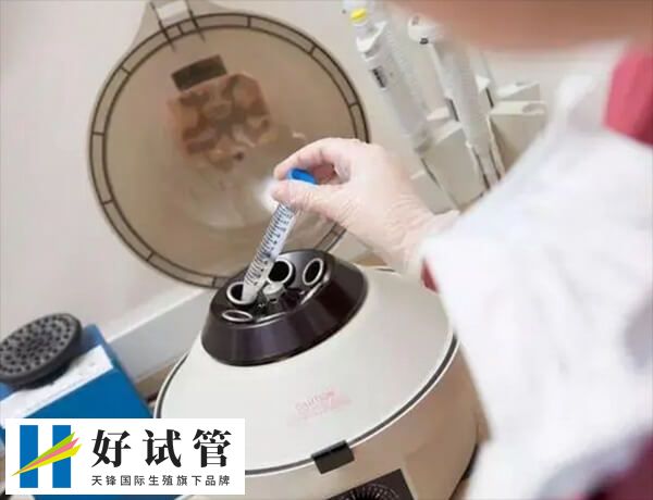 冻胚失败后隔多久再移植(图1) 冻胚移植可以提高妊娠率