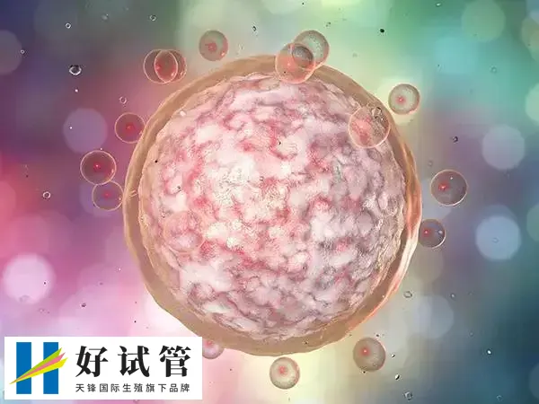 国内供卵试管费用(图1) 供卵试管婴儿准备十万元是足够的