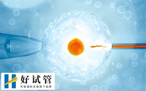 试管移植前哪些人会灌注粒细胞(图1) 试管灌注粒细胞可改善内膜环境