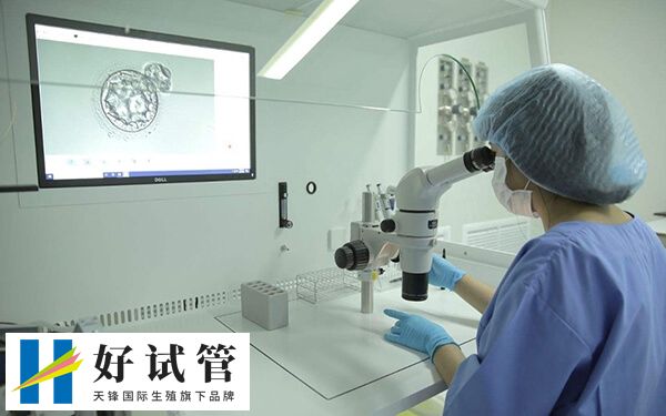 试管婴儿是不是容易引发早产(图1) 试管婴儿跟自然受孕没什么区别